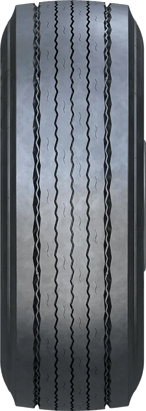 FORZA REG T FORZA REG T